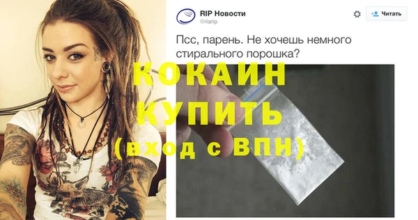 прущие грибы Таштагол